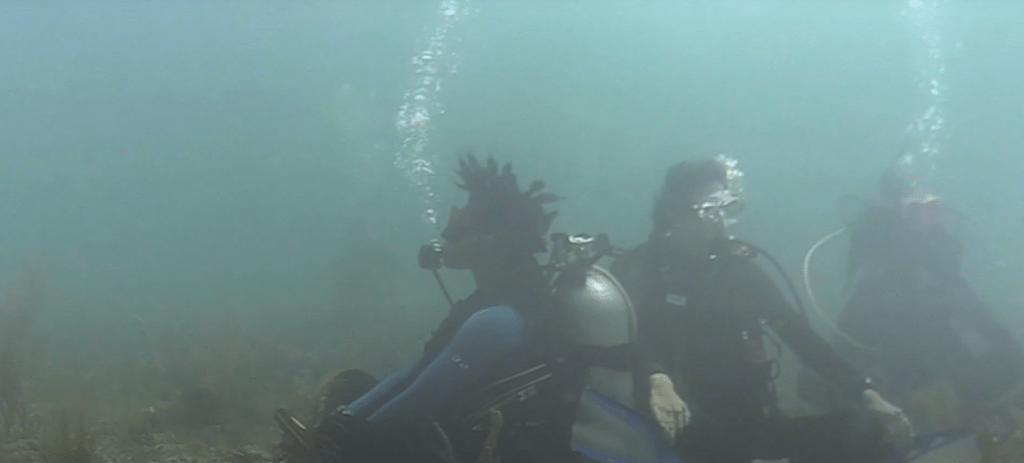 ‘Meditation Ocean Constellation’ exhibit takes visitors to the bottom of the&nbsp;ocean